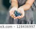 child's hand holding blueberry 128436997