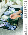 Floating hydrangea and child's hand 128437001