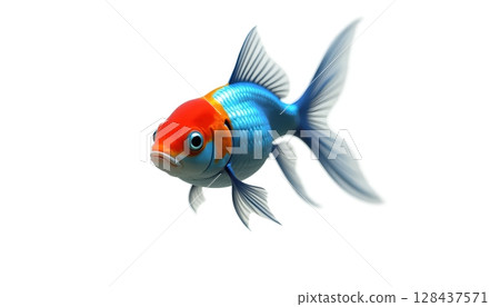 Bright tropical fish with shimmering blue and red scales 128437571