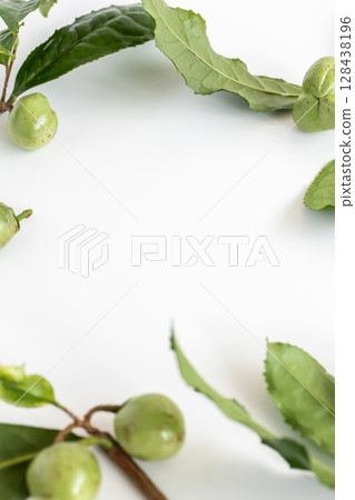 Tea fruit, seeds from the tea tree 128438196