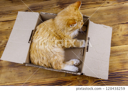 Ginger cat in cardboard box on wooden background Ginger cat in cardboard box on wooden background 128438259