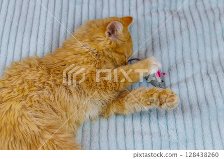 Ginger kitten playing with a mouse toy on a bed Ginger kitten playing with a mouse toy on a bed 128438260
