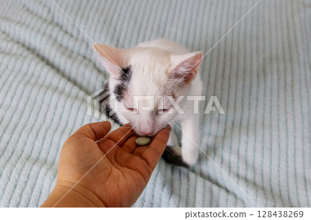 White cat getting a pill from female hand. Concept of taking medicines or vitamins for animals, veterinary medicine, pet care 128438269