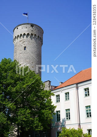 Tall Hermann of Toompea Castle 128438355
