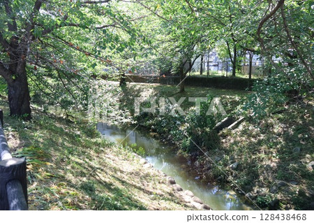 A tranquil riverside greenway A tranquil riverside greenway 128438468
