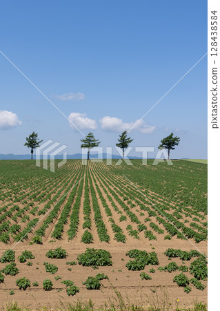 Scenery of Memanbetsu Fairy Tale Hill in Hokkaido Scenery of Memanbetsu Fairy Tale Hill in Hokkaido 128438584