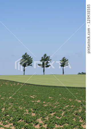 Scenery of Memanbetsu Fairy Tale Hill in Hokkaido Scenery of Memanbetsu Fairy Tale Hill in Hokkaido 128438585