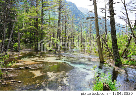 Nagano Kamikochi The mysterious clear waters of Tashiro Pond in the morning 128438820