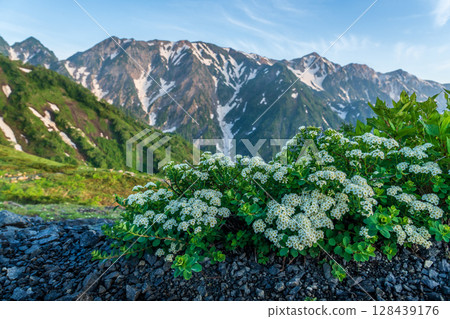 Morning view of Mount Happo and Lake Happo 128439176