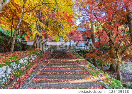 秋葉繁盛時拍攝京都府京丹波町曹洞宗玉雲寺 秋葉繁盛時拍攝京都府京丹波町曹洞宗玉雲寺 128439318