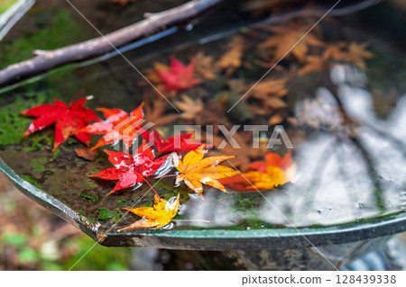 秋葉繁盛時拍攝京都府京丹波町曹洞宗玉雲寺 秋葉繁盛時拍攝京都府京丹波町曹洞宗玉雲寺 128439338