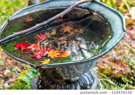 秋葉繁盛時拍攝京都府京丹波町曹洞宗玉雲寺 秋葉繁盛時拍攝京都府京丹波町曹洞宗玉雲寺 128439339