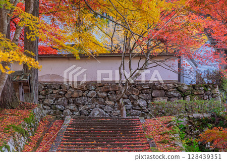 Photographing Gyokuunji Temple of the Soto sect in Kyotanba-cho, Kyoto Prefecture, in the height of autumn foliage 128439351