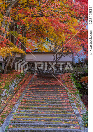 Photographing Gyokuunji Temple of the Soto sect in Kyotanba-cho, Kyoto Prefecture, in the height of autumn foliage 128439354