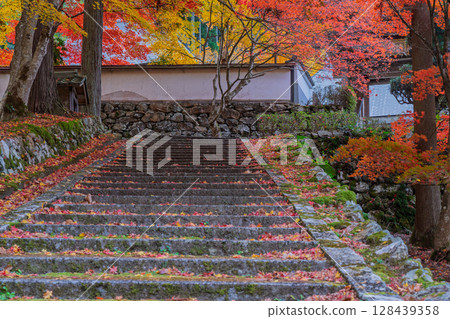 秋葉繁盛時拍攝京都府京丹波町曹洞宗玉雲寺 秋葉繁盛時拍攝京都府京丹波町曹洞宗玉雲寺 128439358