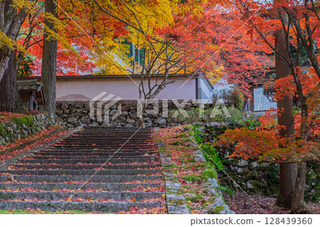 秋葉繁盛時拍攝京都府京丹波町曹洞宗玉雲寺 128439360
