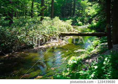 長野上高地溪流景觀 128439680