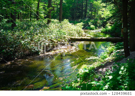 Nagano Kamikochi Landscape with a stream 128439681