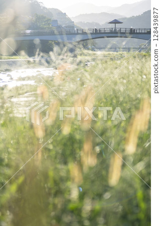 在三朝溫泉感受秋天的氣息 在三朝溫泉感受秋天的氣息 128439877