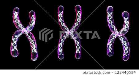 Collection of transparent chromosome x contain dna strand inside Collection of transparent chromosome x contain dna strand inside 128440584