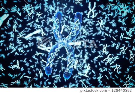 3d rendering transparent chromosome x contain dna strand inside 3d rendering transparent chromosome x contain dna strand inside 128440592