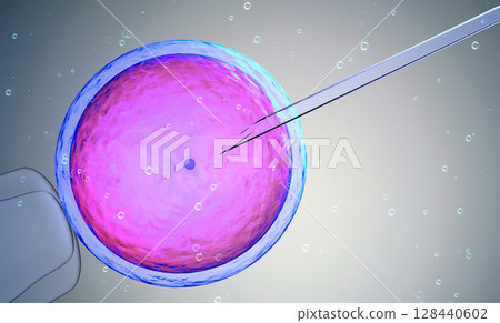 Ovum with needle for artificial insemination or in vitro fertilization 128440602