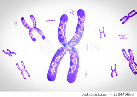 Transparent chromosome x contain dna strand inside 128440606