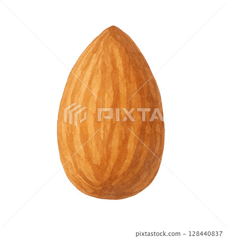 [堅果] 杏仁插畫 128440837