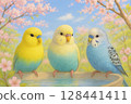 Three friendly budgerigars in a spring landscape 128441411