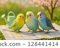 Three friendly budgerigars in a spring landscape 128441414
