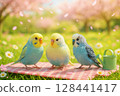 Three friendly budgerigars in a spring landscape 128441417
