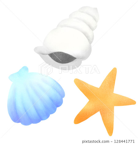 Illustration of seashells and starfish 128441771