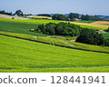 A vast wheat field in a hilly area (Kami-Furano, Hokkaido) 128441941