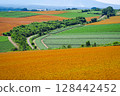 A rural landscape overlooking colored wheat fields (Biei, Hokkaido) 128442452