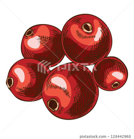 Mistletoe berries pile vector sketch, hand drawn Holly berry species plant, red fruit ilex bunch, Mulled wine ingredient 128442968