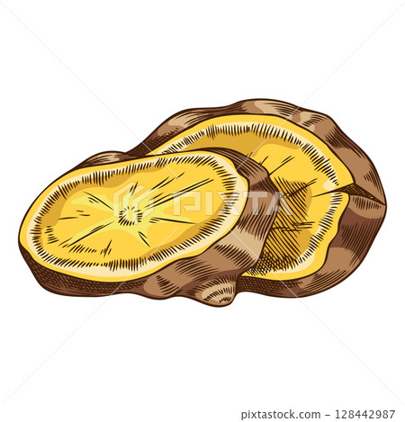 Fresh ginger root slices sketch, vector hand drawn aromatic spice, mulled wine ingredient, medicinal fragrant herb 128442987