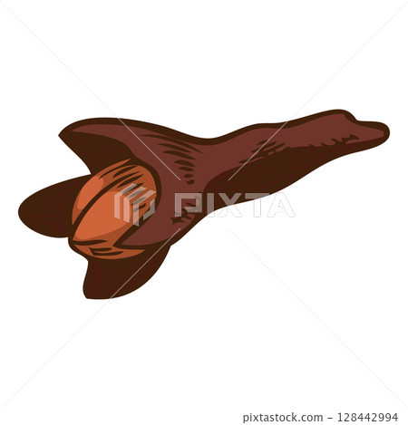 Clove spice star seed sketch vector icon, hand drawn spice dried herb bud, organic condiment, Mulled wine ingredient Clove spice star seed sketch vector icon, hand drawn spice dried herb bud, organic condiment, Mulled wine ingredient 128442994