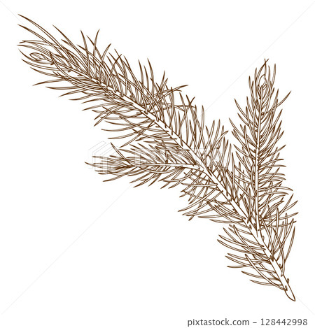 Pine tree branch vector sketch, coniferous fragrance, engraved hand drawn fir plant, cedar spruce twig, wood decoration Pine tree branch vector sketch, coniferous fragrance, engraved hand drawn fir plant, cedar spruce twig, wood decoration 128442998