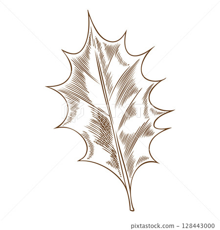 Mistletoe one leaf vector sketch, engraved hand drawn Holly berries species plant, ilex twig, Mulled wine ingredient Mistletoe one leaf vector sketch, engraved hand drawn Holly berries species plant, ilex twig, Mulled wine ingredient 128443000