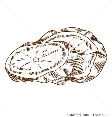 Fresh ginger root slices engraved sketch, vector hand drawn aromatic spice, mulled wine ingredient organic fragrant herb 128443028