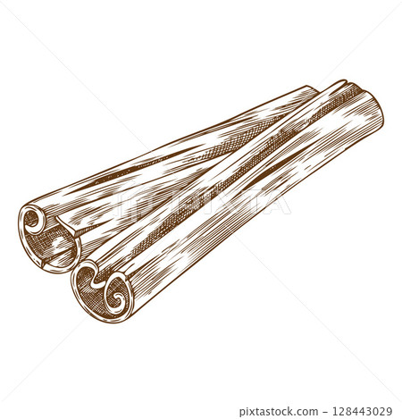 Rolled sticks of cinnamon engraved sketch, vector hand drawn aromatic spice, dry flavor condiment mulled wine ingredient 128443029