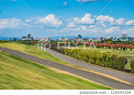 The neatly weeded banks of the Yodo River, Takatsuki City 128443109