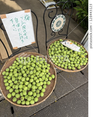 Plenty of plums 128443123