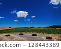Vast fields and the summer sky of Biei (Biei Town, Hokkaido) 128443389