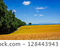 A view of colored wheat fields and the Daisetsu Mountain Range (Biei, Hokkaido) 128443943