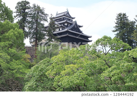 Matsue Castle: Main citadel and castle walls Matsue Castle: Main citadel and castle walls 128444192