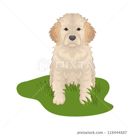 Illustration of Dog 128444887