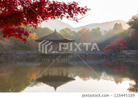 古都奈良的秋天：奈良公園的紅葉：清晨的浮見堂 128445189