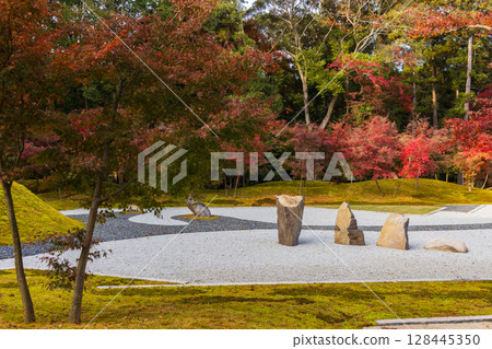 古都奈良的秋天、奈良公園的紅葉、萬葉植物園 128445350