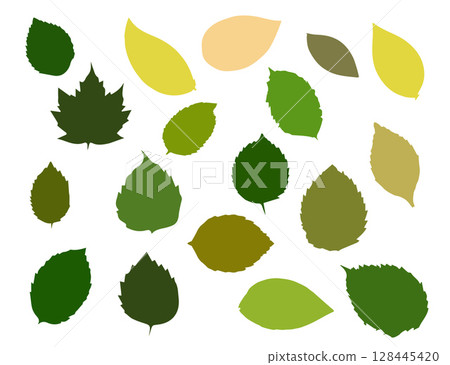 Collection of Vivid Green and Yellow Leaves on a White Background. 128445420